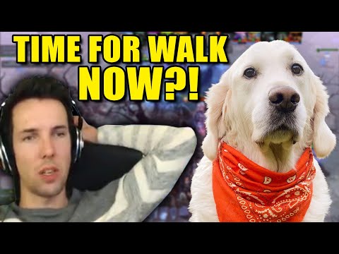 GRUBBY So chill DOGGO thinks the STREAM IS DONE