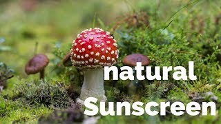 Ditch the Toxic Sunscreen; Use Coconut Oil Instead