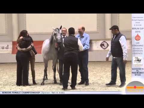 3rd N.11 PYRAMID KAHILEH K - Berlin Cup S-Show Werder 2015 - Senior Female Championship (Class 17)