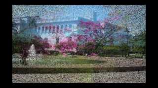 Wallace Roney - Metropolis