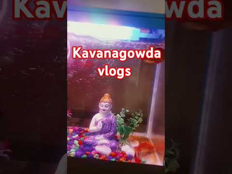 ಗಗನದಲಿ ಮಳೆಯ ದಿನ ಗುಡುಗಿನ ತನನ#####ವೈರಲ್ ವಿಡಿಯೋ #song #music #love #kannada