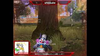 ゲリラ配信