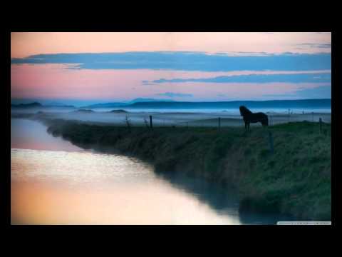 Modigs - King in the north