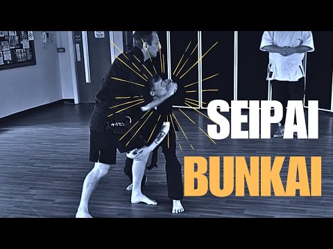 Seipai Bunkai: Stopping the Single-Leg Takedown!