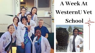 A Week At WesternU Vet School