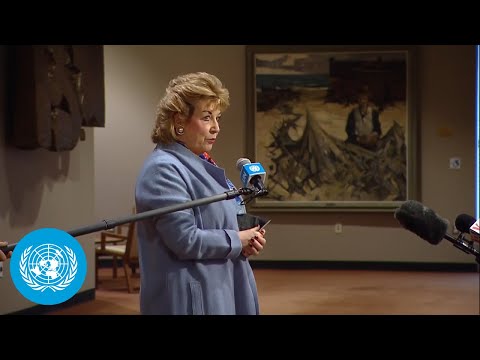 Ireland on Myanmar and Ukraine - Media Stakeout (28 January 2022) | United Nations
