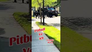 pitbull vs police k9
