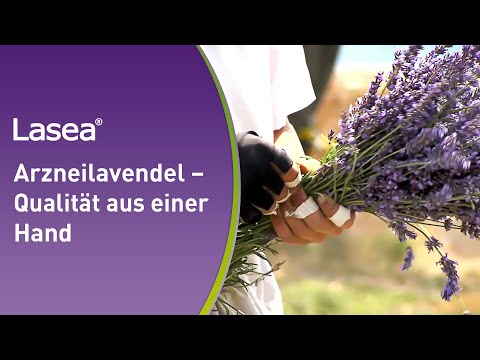 Lasea® - zuverlässige Qualität vom Feld bis in die Kapsel