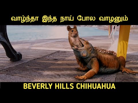 Download Beverly Hills Chihuahua Tamil Dubbed Movie.3Gp .Mp4 | Codedwap
