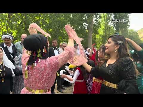 Menaf & Kumru Goyi aşiret Düğünü gazi müzik organize