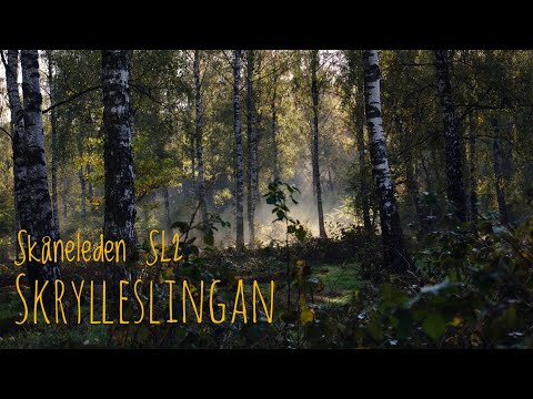 Skåneleden SL2: Atutum Hike on Skrylleslingan