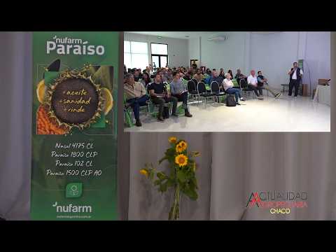 TALLER DE GIRASOL - NUFARM - General Pinedo Chaco - segunda parte.