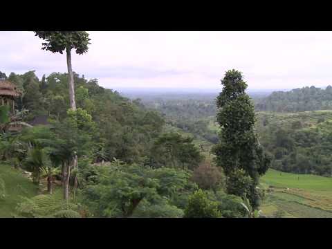 Rundt på Bali - udsigt til vulkanen Batur