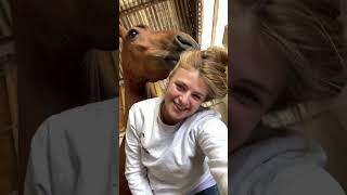 Proof horses LOVE people 🥺