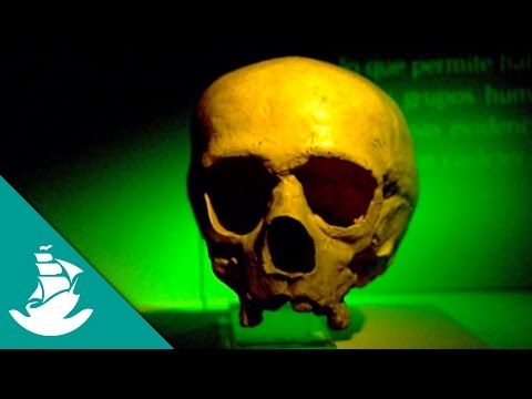 Future: Humans