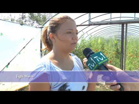 Proiecte Finantate cu Ajutorul GAL SOMES CODRU