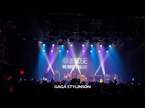 191114 The Rose Woosung - Moon Fancam (Amsterdam, Netherlands)