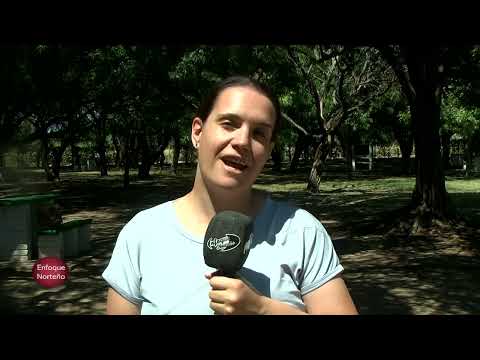 1ºBloque Enfoque Norteño 31   1   26   Pichi Huinca Viñedos   Arata Pro vida verano 2026