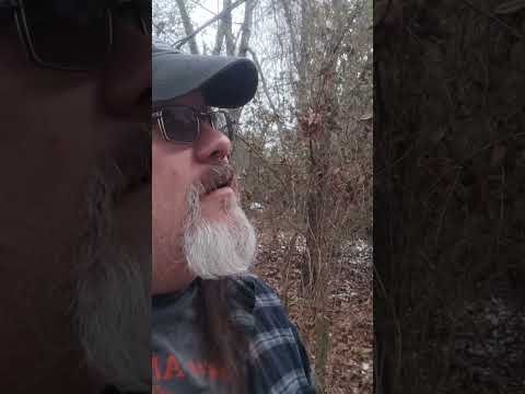 Dee's Weather Report - January 23, 2025 - in honor of David Lynch