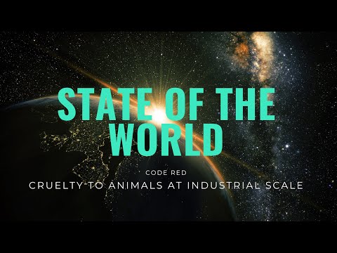 Code Red: Cruelty to Animals at Industrial Scale