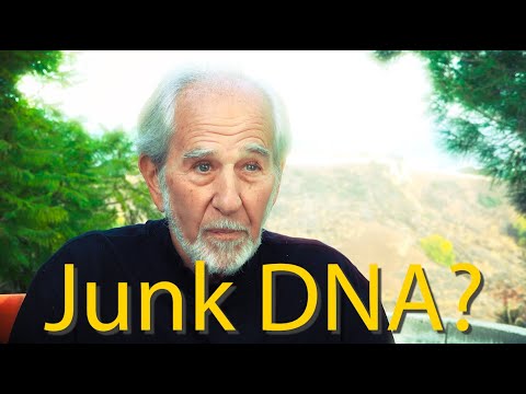 Vestigial Science - "Junk" DNA
