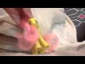 Mlp mv for fluttershy forever. Song: creatures of the ...