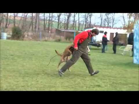 Xerro Malidaj   defence  November 2011   DUX