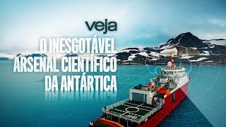 Antártica: as descobertas científicas que podem transformar a vida dos brasileiros