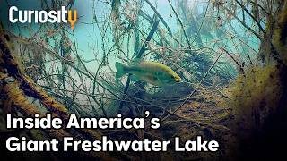 CuriosityStream Lake Okeechobee: Mother of the Everglades 🌿 Bright Now