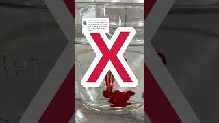 swimming on your period- with or without a tampon- is totally ok ❤️#periodtok #puberty #firstperiod