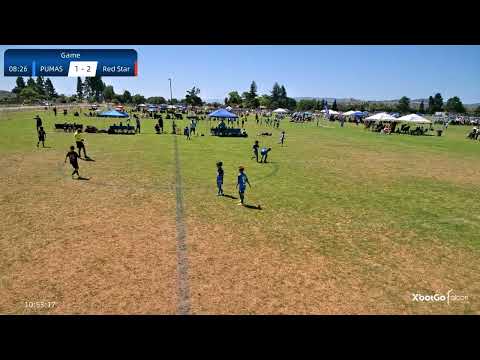 California Rush Cup