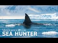 Wild Ocean Inside The Hidden World Of Predators Beneath The Waves