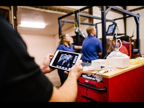 Equine In Vitro Fertilization