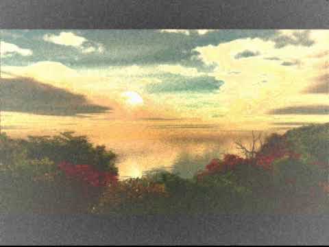 Ksenija Cicvaric   Il`  je vedro il` oblacno