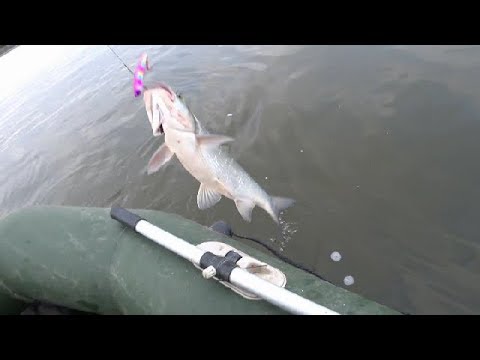 ECLIPSE Heavy Slight 95 - виб для пассивного жереха.'Косяк'при отпуске.Asp Fishing.