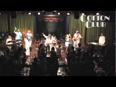 NILE RODGERS & CHIC (COTTON CLUB)｜VIDEOS ARCHIVES｜LIVE REPORTS｜BLUE NOTE TOKYO