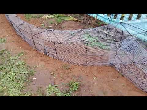 сказочный забор арт бетон. Осталось до красить