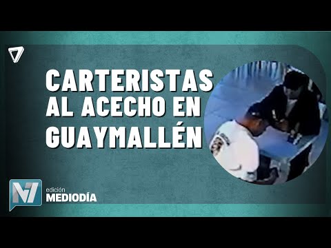 Delincuentes robaron una BILLETERA en un CAFÉ de Guaymallén