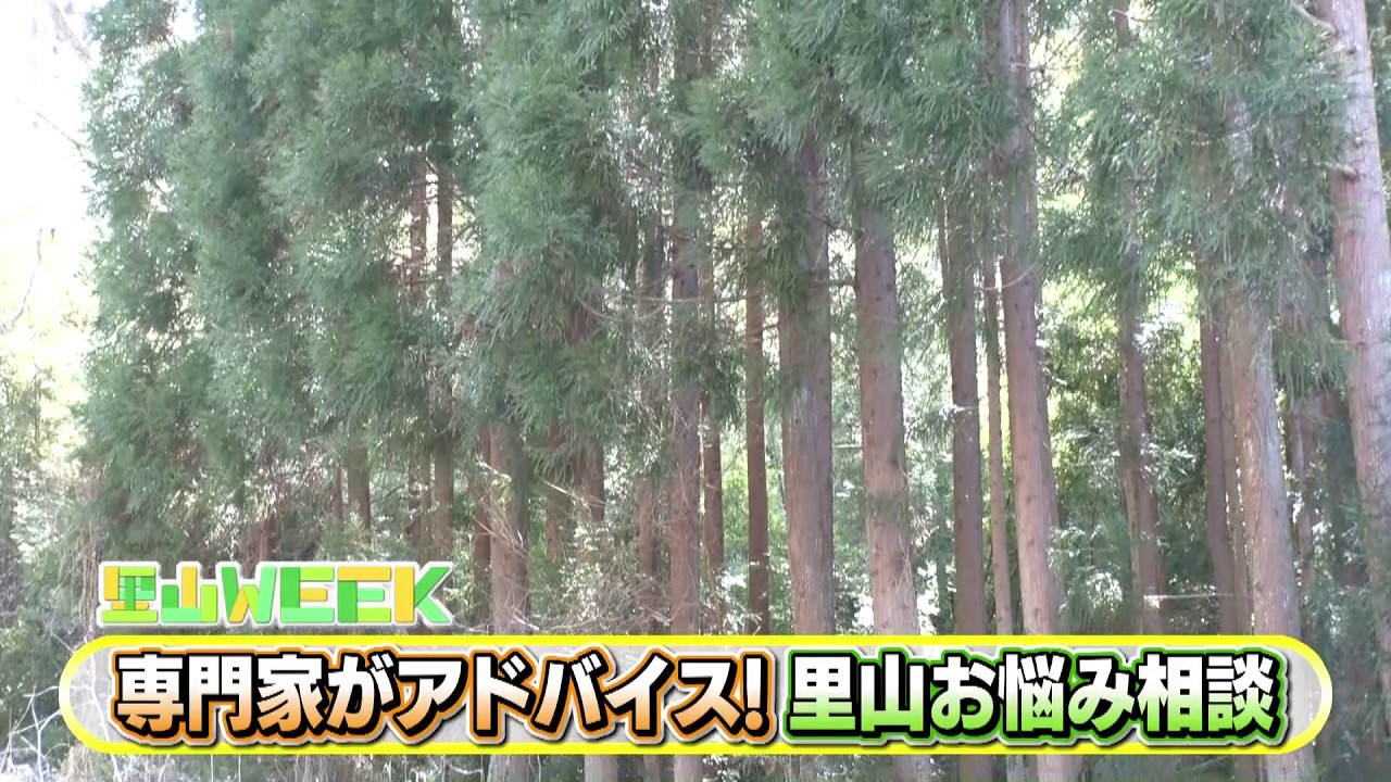 専門家が解決！里山のお悩み相談