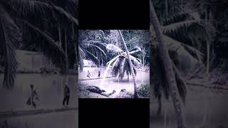 Download lagu detik detik pohon kelapa jatuh sendiri 😥 mp3