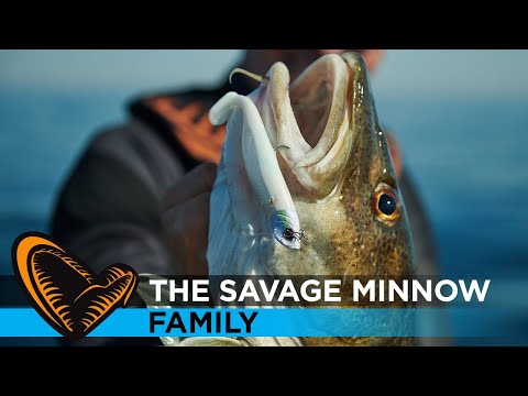 The Savage Minnow Family
