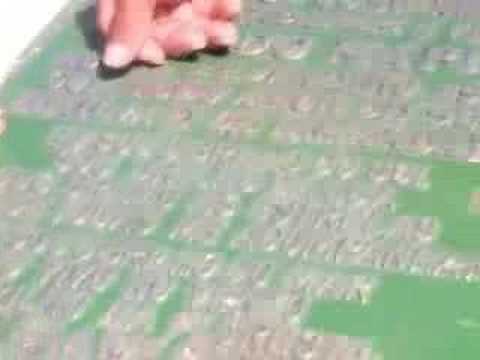 Pad Valdete e Seu Francisco Mota