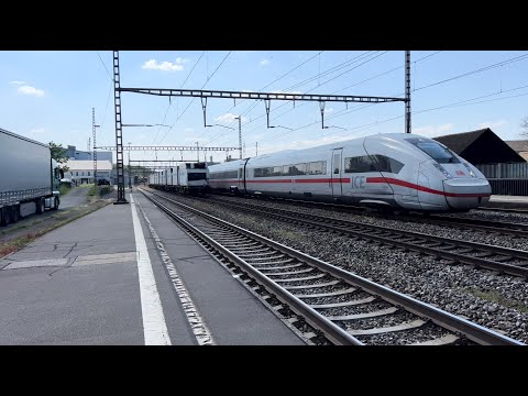 Bahnverkehr in Rupperswil (26.05.2023)