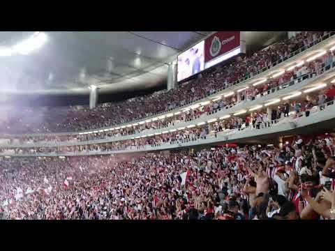 "Todo el estadio de chivas cantando / yo soy de chivas" Barra: La Irreverente • Club: Chivas Guadalajara