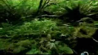 Extraterrestres de Stephen Hawking 1-5