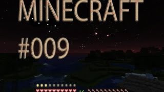 Minecraft Let's Play #009 Amateur Zoo