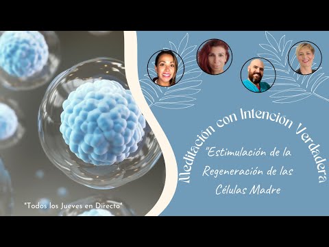 Meditación con Intención Verdadera