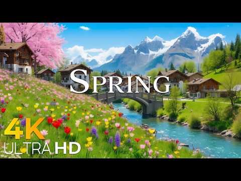 Fresh Air of Spring • Switzerland 4K Alpine Landscape | Relaxing Cinematic Nature