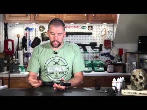 Bushnell 1-8x AR Optics Review - BTR-1 Reticle - High Value/Budget LPVO