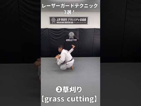 【レーザーガード】テクニック3選#jiujitsu #bjj #ブラジリアン柔術 #jiujitsu #柔術#ショート動画 #レーザーガード